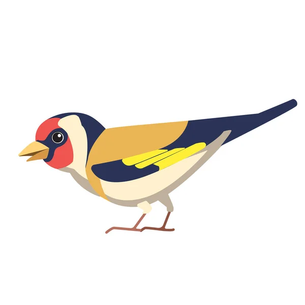 Der Stieglitz ist ein kleiner Passantenvogel in der Familie der Finken. Britische Finken Vogel Cartoon flachen Stil schönen Charakter der Ornithologie, Vektorillustration isoliert auf weißem Hintergrund — Stockvektor