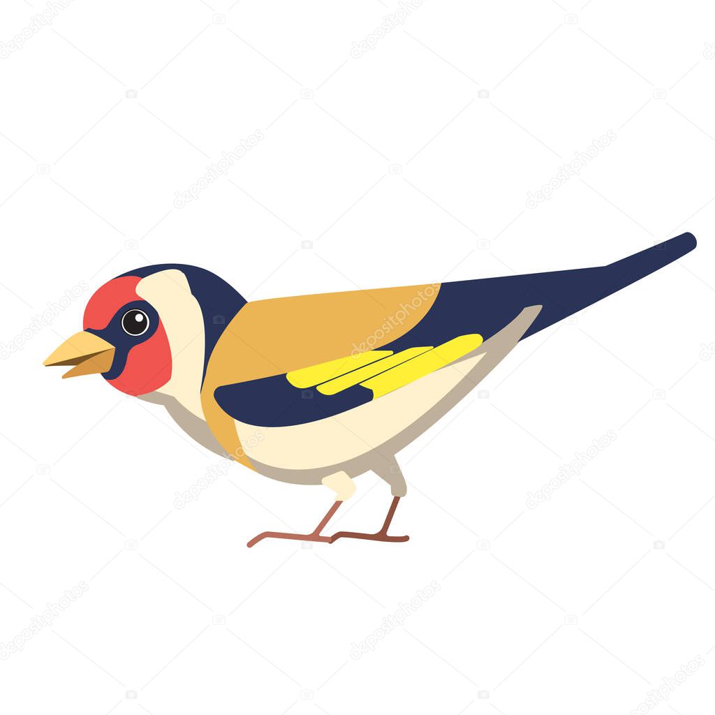 European goldfinch is a small passerine bird in the finch family. British Finches Bird cartoon flat style beautiful character of ornithology, vector illustration isolated on white background