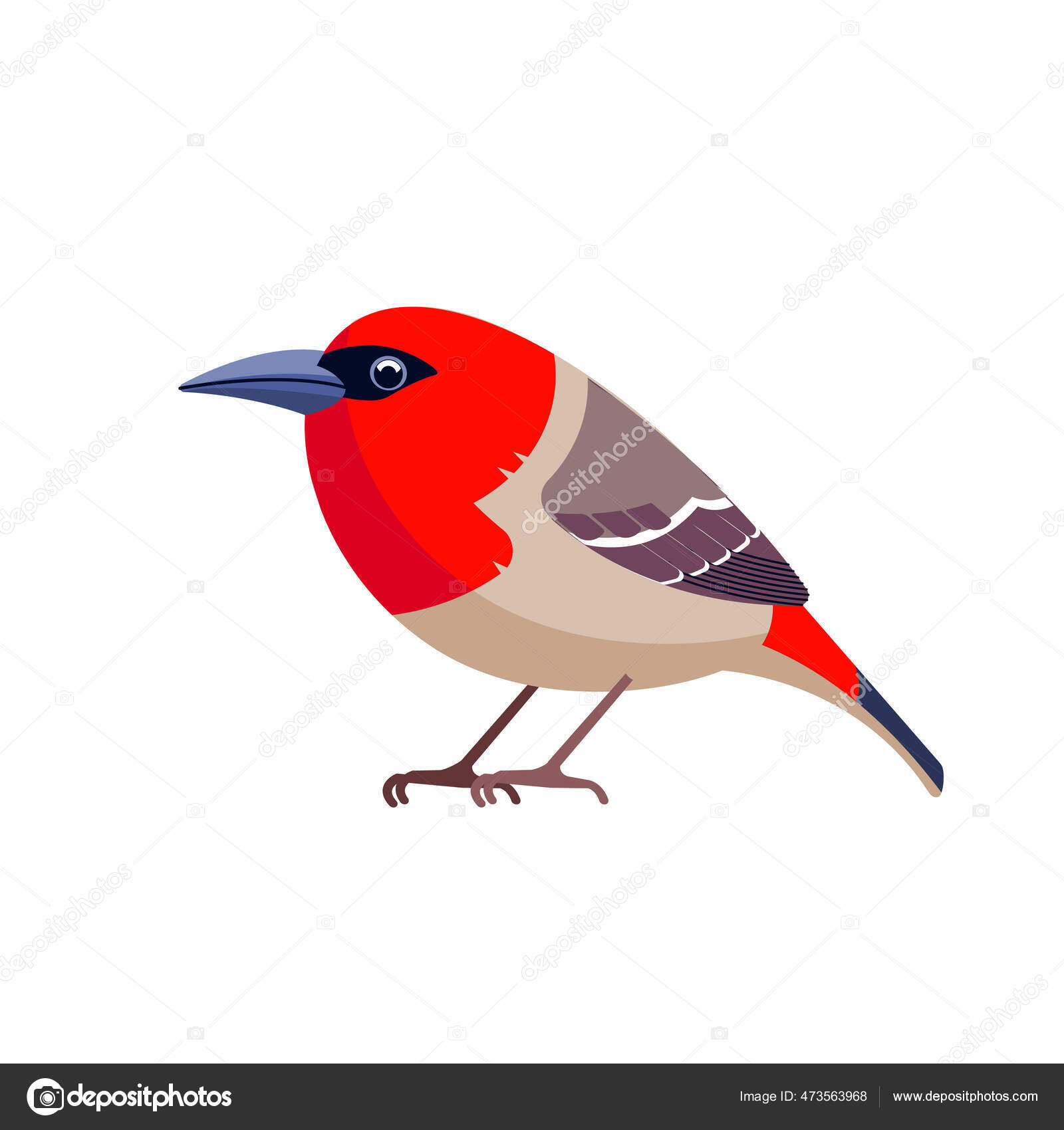 영원한 늪 국립 공원 | 뉴사우스웨일즈주 휴가 및 숙박, 즐길 거리, 관광 명소 및 이벤트, image size:1600x1700