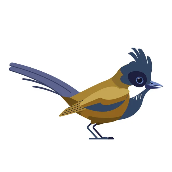 Dartford warbler birds é um típico warbler das partes mais quentes da Europa Ocidental. Nome científico Curruca UNdata. Desenhos animados estilo plano belo caráter de ornitologia, ilustração vetorial — Vetor de Stock
