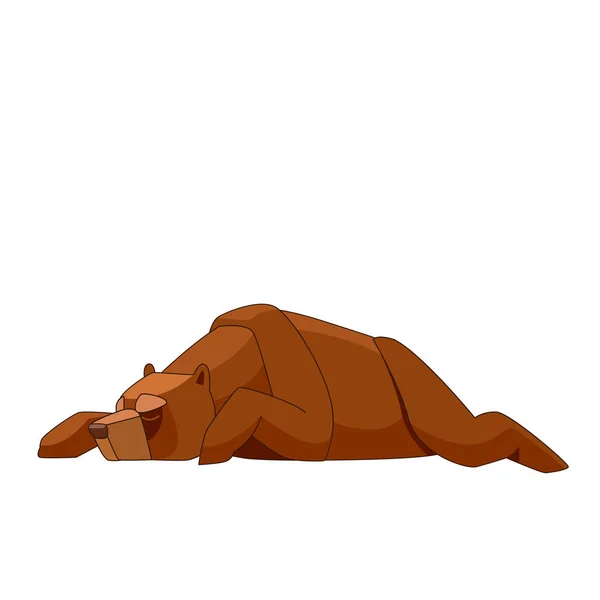 Grizzly medvěd hnědý spí. Cartoon ploché vektorové ilustrace izolované na bílém pozadí — Stockový vektor