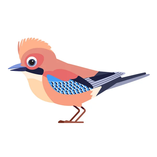 Jay Garrulus glandarius. Birdd Cartoon stile piatto bellissimo personaggio di ornitologia, illustrazione vettoriale isolato su sfondo bianco — Vettoriale Stock