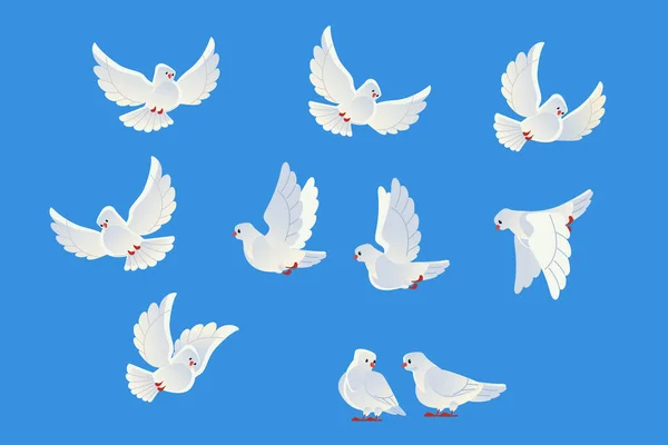 Colombe bianche. Bellissimi piccioni fede e amore simbolo. Stile cartone animato. Isolato su sfondo blu. Illustrazione vettoriale. — Vettoriale Stock