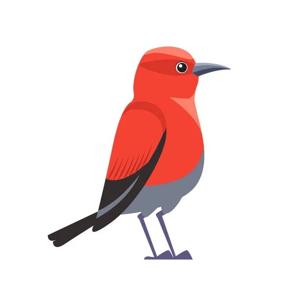 Roter Vogel Apapane Hawaiian Honeycreeper. Exotischer seltener Vogel des vom Aussterben bedrohten Apapane Endemic Bird auf Hawaii. Cartoon flache Vektorillustration isoliert auf weißem Hintergrund — Stockvektor