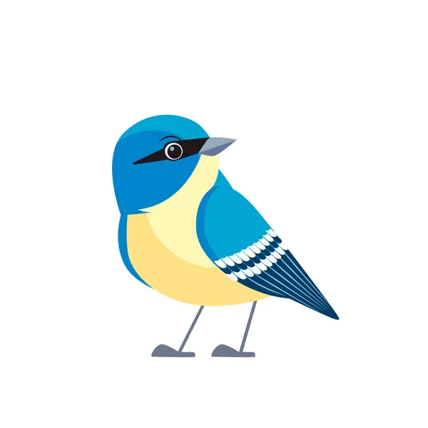 Vitbröstad nuthatch är en liten sångfågel i nuthatch-familjen som är vanlig i hela Nordamerika. Tecknad platt stil vacker karaktär av ornitologi, vektor illustration isolerad på vit bakgrund — Stock vektor