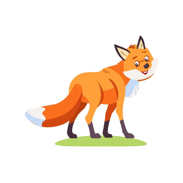 Desenhos animados Fox. Fox bonito vira-se para o espectador e parece amigável. Ilustração vetorial isolada sobre fundo branco — Vetor de Stock