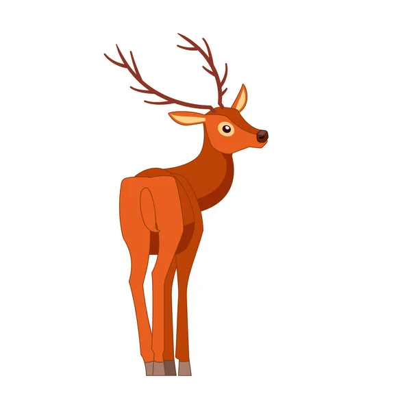 Rear view of the deer. Ungulate ruminant mammals. Cartoon animal design. Cute deer with horns. Flat vector illustration isolated on a white background — Stock Vector