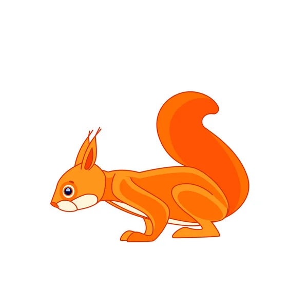 Ekorren tittar märkligt nog ovanifrån. Tecknad karaktär av gnagare däggdjur. En vild skogsvarelse med apelsinpäls. Sidovy. vektor platt illustration isolerad på en vit bakgrund — Stock vektor