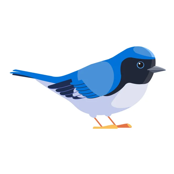 Blue warbler es un ave paseriforme de la familia New World. Garganta negra warbler azul Bird Cartoon estilo plano hermoso carácter de la ornitología, ilustración vectorial aislado en blanco — Vector de stock