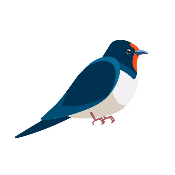 Swallows, martins, and saw-wings, o Hirundinidae, es una familia de aves paseriformes. Bird Cartoon estilo plano hermoso carácter de la ornitología, v vector ilustración aislada en blanco — Archivo Imágenes Vectoriales