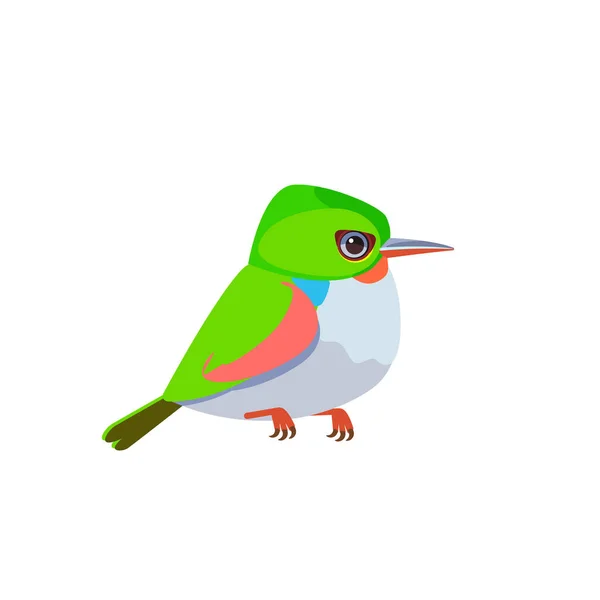 Kubai tody vagy jamaikai tody. Egzotikus kis trópusi madár elszigetelt fehér rajzfilm vektor illusztráció ornitológia todus todi fauna aranyos zöld színes vadvilág — Stock Vector