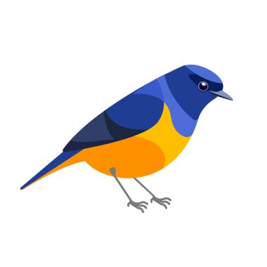 Niltava or Rufous-bellied niltava is a species of bird in the family Muscicapidae. Tropical Passerine Bird Cartoon flat style beautiful character of ornithology, vector illustration isolated on white