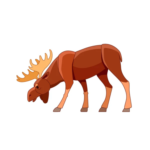 Bull moose grazing in the wild forest. Wildlife scene with elk. Cartoon character vector flat illustration isolated on white background — Vetor de Stock