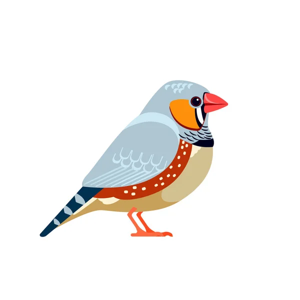 Zebra finch is the most common estrildid finch. Australian Bird Cartoon flat style beautiful character of ornithology, vector illustration isolated on white — Vettoriale Stock