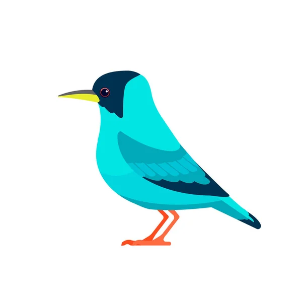 El honeycreeper verde es un ave pequeña de la familia Tanager. Clorofanes spiza. Pájaro azul exótico Dibujos animados estilo plano hermoso carácter de la ornitología, ilustración vectorial aislado en blanco — Vector de stock