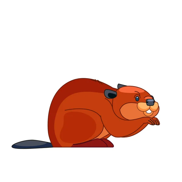 Beaver comendo planta. Desenhos animados vetor plana ilustração isolada no fundo branco — Vetor de Stock