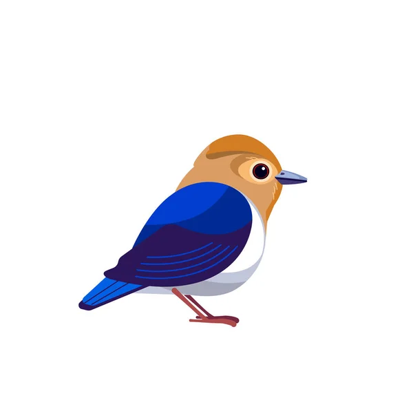 Sapphire Flycatcher é uma espécie de ave da família Muscicapidae. Ficedula sapphira. Blue flycatcher Bird Desenhos animados ilustração vetorial plana isolado no branco — Vetor de Stock