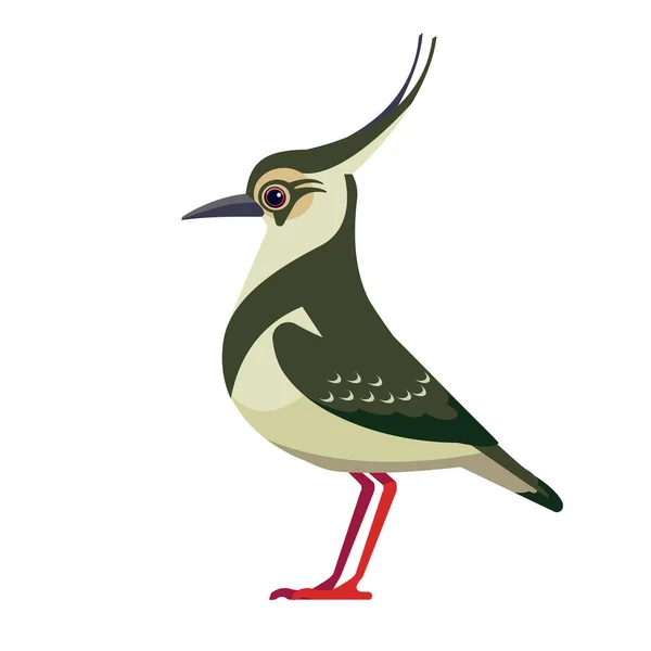 Le Pluvier siffleur est un oiseau de la sous-famille des Pluviers siffleurs. Oiseau Cartoon style plat beau caractère de l'ornithologie, illustration vectorielle isolé sur blanc — Image vectorielle