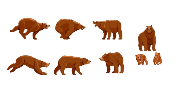 Urso em poses diferentes. Conjunto de estilo vetorial plano de ursos grandes sobre fundo branco. Criatura da floresta selvagem com pele marrom. Personagem de desenhos animados de mamífero grande animal — Vetor de Stock