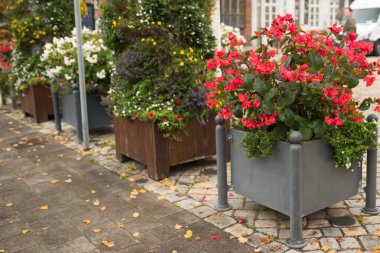 Preetz, Holstein-Holstein, Almanya, 2025 / 10 / 14 Kuzey Almanya sokakları. Sokakta saksıda çiçekler, bir Alman şehrinin manikürlü çimenleri.