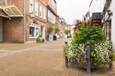 Kırmızı ve pembe çiçekli yeşil bir saksıda parlak bir çiçek aranjmanı, gingham kurdele ve sonbahar aksanıyla süslenmiş, kırsal ahşap bir masaya yerleştirilmiş, sıcaklık ve mevsimsel cazibe yayıyor..
