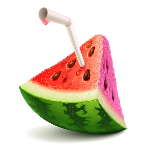 Juicy Watermelon slice — Stock Vector