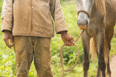 Köylü Vinales, Küba'da bir ata holding