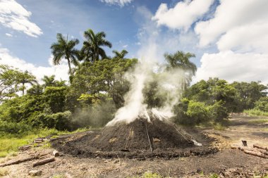 Ormandaki kömür üretimi
