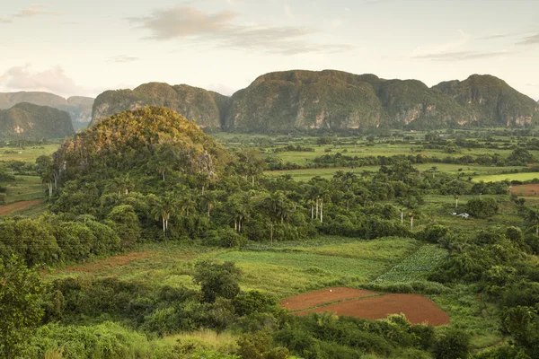 Vista panoramica sul paesaggio con mogotes in Vinales Valley, Cu — Foto Stock