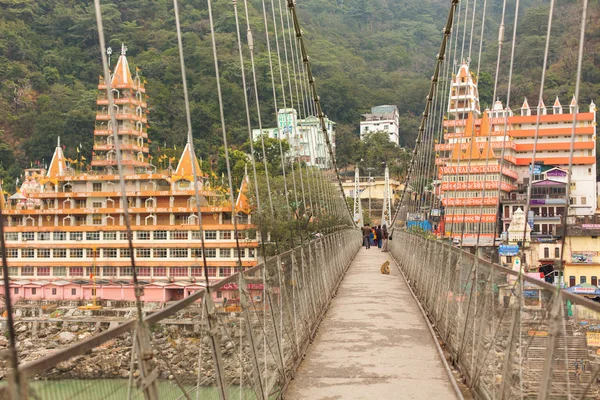 桥梁在瑞诗凯诗，印度恒河 — 图库照片