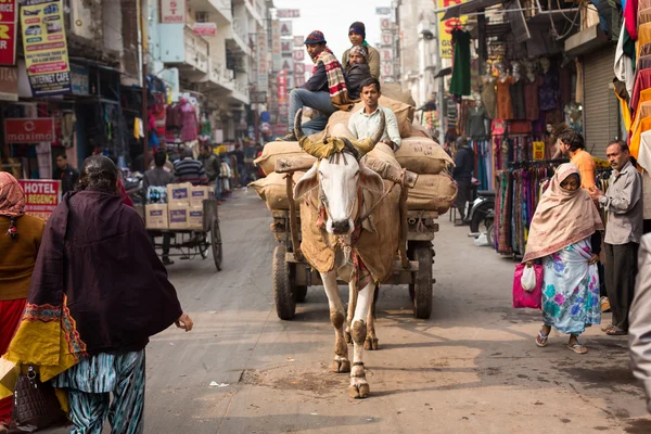 DELHI, INDIA - DEC 31: The cow carries a cart on the streets in — Stock Photo, Image