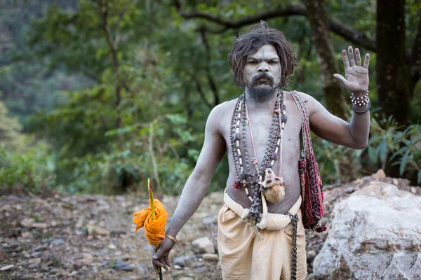 RISHIKESH, INDIA - GENNAIO 04: Un sadhu baba non identificato che vive la sua — Foto Stock