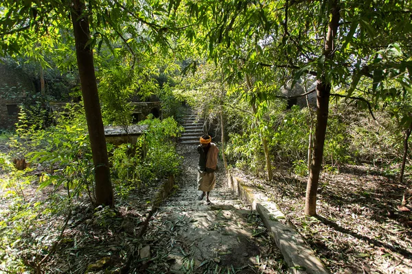 리 시 케시, 인도-1 월 5:는 미확인된 바 바 fores 산책 — 스톡 사진