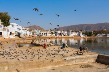 Lake City Pushkar, Hindistan