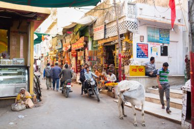 Pushkar, Hindistan - Ocak 07: Pushk Caddesi üzerinde farklı etkinlikler