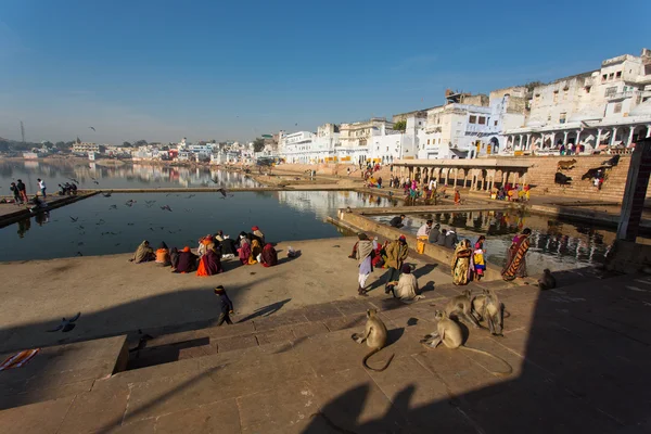 PUSHKAR, INDE - JAN 08 : Différentes activités sur le lac de Pushkar — Photo