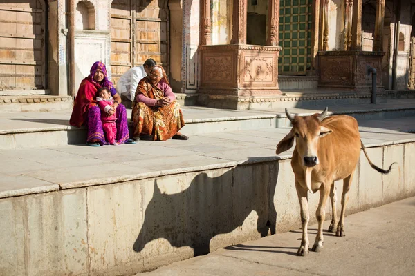 PUSHKAR, INDIA - JAN 08: Family staying on the street of Pushkar — Stock Photo, Image