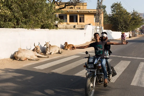 Pushkar, Indien - Jan 08: Indiska folket på cykeln på gatan — Stockfoto