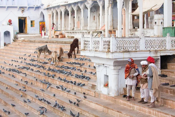 PUSHKAR, INDIA - JAN 08: Indian men on street of Pushkar on Janu — Stock Photo, Image