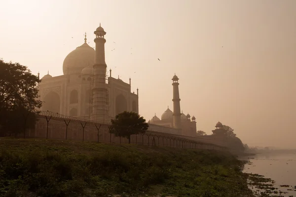 Taj-Mahal mausoleum in foggy morning, Agra, India — Stock Photo, Image