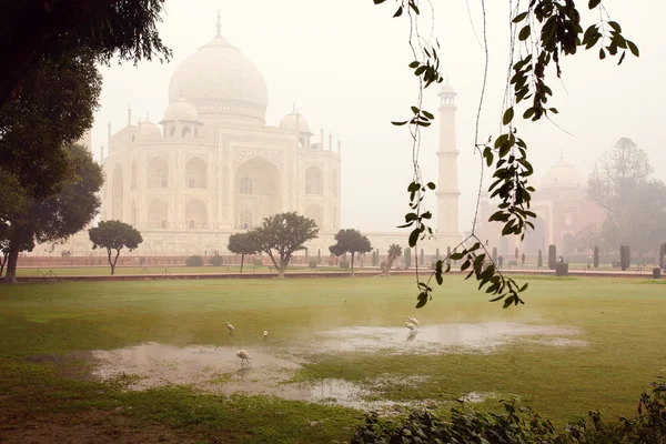 Taj Mahal Mauzoleum z jasnego nieba, Agra, Indie — Zdjęcie stockowe