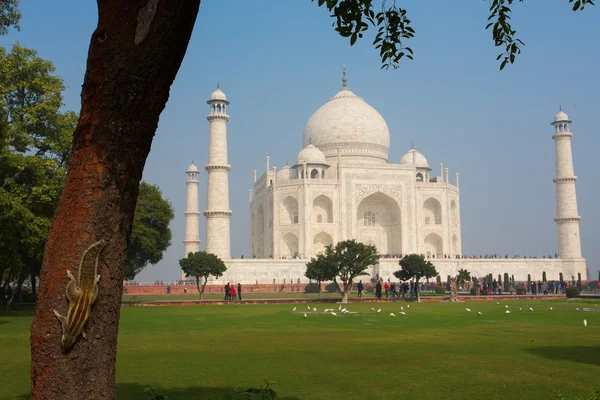 Taj Mahal Mausoleum met heldere blauwe hemel, Agra, India — Stockfoto