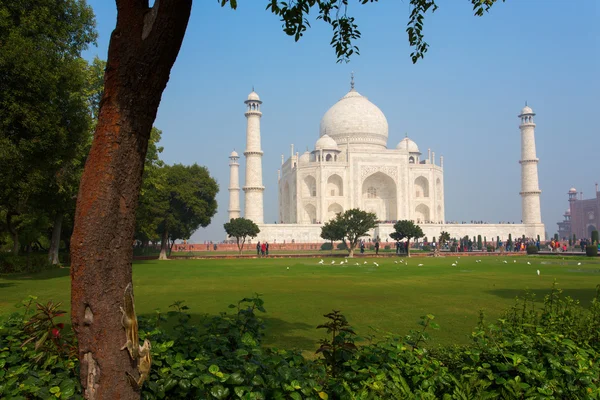 Taj Mahal Mausoléu com céu azul claro, Agra, Índia — Fotografia de Stock