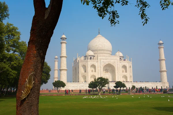 Taj Mahal Mausoléu com céu azul claro, Agra, Índia — Fotografia de Stock