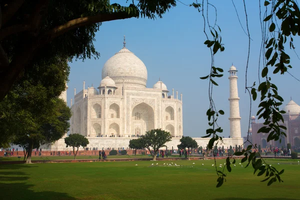 Taj Mahal Mausoleum met heldere blauwe hemel, Agra, India — Stockfoto