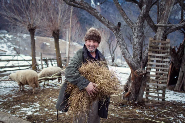 MAGURA, ROMÂNIA - 05 FEB: Vechiul țăran român se pregătește să dea hrană animalelor de fermă la 05 februarie 2015. Magura este un sat în Muntele Carpatian. — Fotografie, imagine de stoc