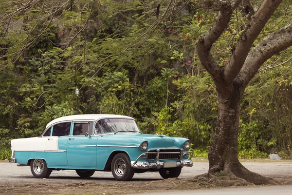 Classic old car under a tree in Cuba — Stock Photo, Image