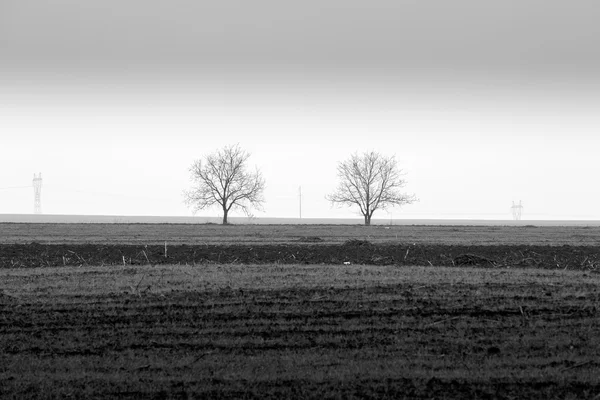 картинка одинокое дерево в поле. Смотреть фото картинка одинокое дерево в поле. Смотреть картинку картинка одинокое дерево в поле. Картинка про картинка одинокое дерево в поле. Фото картинка одинокое дерево в поле картинка одинокое дерево в поле. Смотреть фото картинка одинокое дерево в поле. Смотреть картинку картинка одинокое дерево в поле. Картинка про картинка одинокое дерево в поле. Фото картинка одинокое дерево в поле