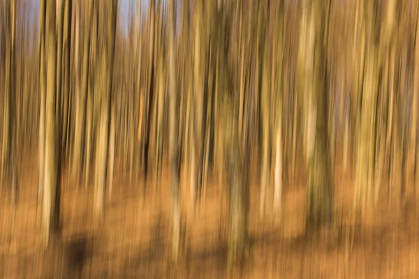 Foresta astratta con espositore lungo, bellissimo sfondo colorato — Foto Stock