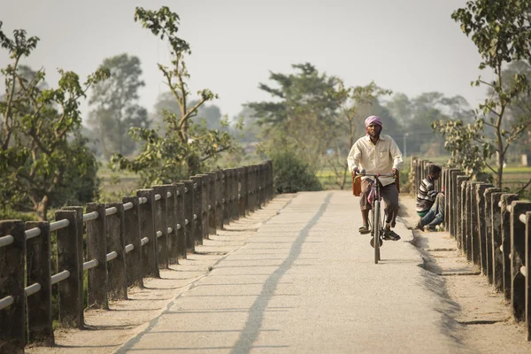 CHITWAN PARK, NEPAL - 22 DE NOVIEMBRE: Hombre desconocido en bicicleta en Ch — Foto de Stock